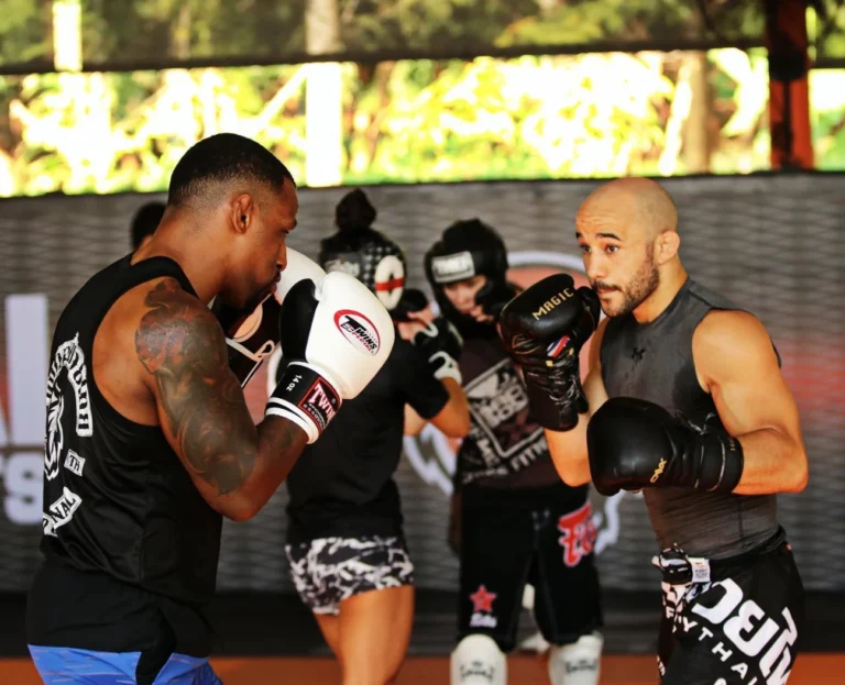 how much mma training before your first fight - controlled sparring - boxing, striking, wrestling and BJJ