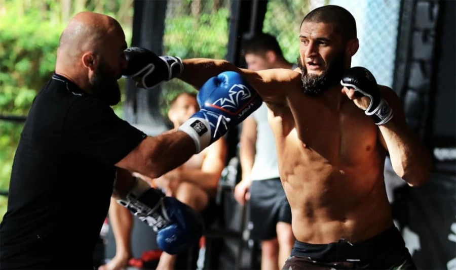 how much mma training before first fight - fight iq and decision making for your first mma fight